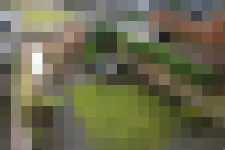 Nassaulaan 16 Leidschendam thumbnail 10