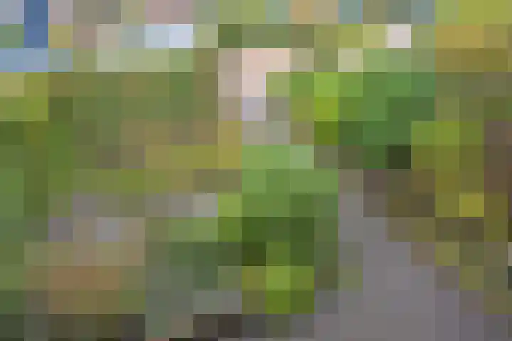 Nassaulaan 16 Leidschendam thumbnail 11
