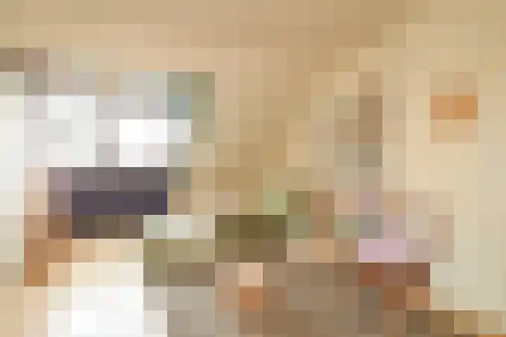 Nassaulaan 16 Leidschendam thumbnail 17