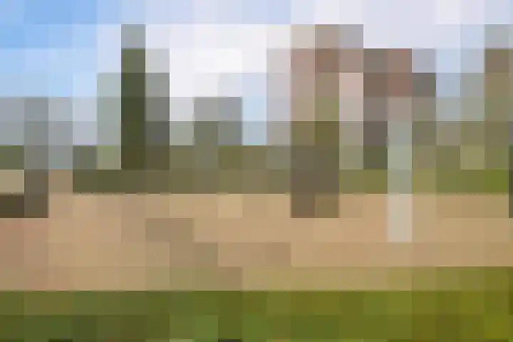 Nassaulaan 16 Leidschendam thumbnail 20