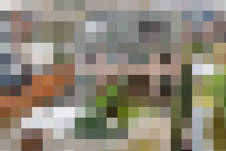Nassaulaan 16 Leidschendam thumbnail 22
