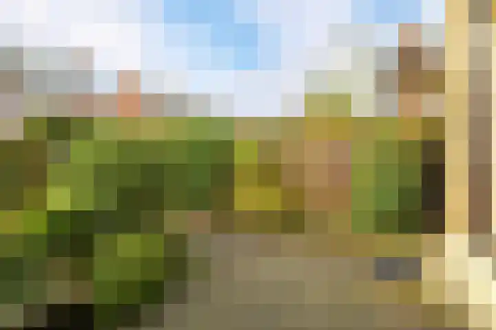 Nassaulaan 16 Leidschendam thumbnail 23