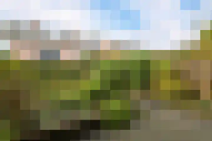 Nassaulaan 16 Leidschendam thumbnail 25