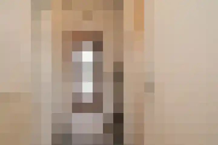 Nassaulaan 16 Leidschendam thumbnail 27