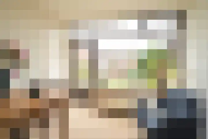 Nassaulaan 16 Leidschendam thumbnail 29