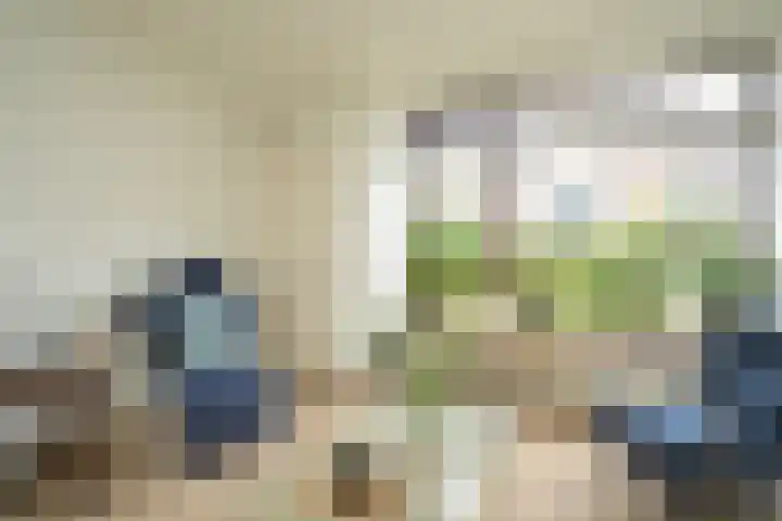 Nassaulaan 16 Leidschendam thumbnail 31