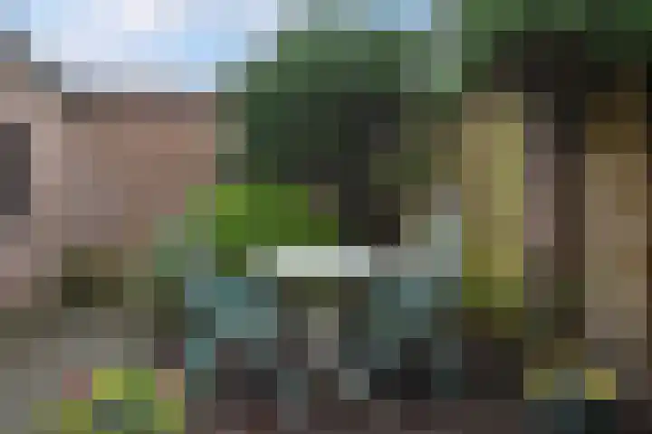 Nassaulaan 16 Leidschendam thumbnail 34