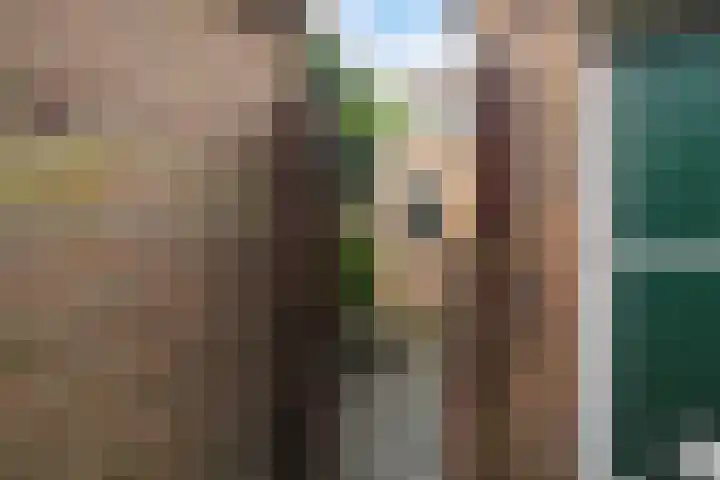 Nassaulaan 16 Leidschendam thumbnail 35