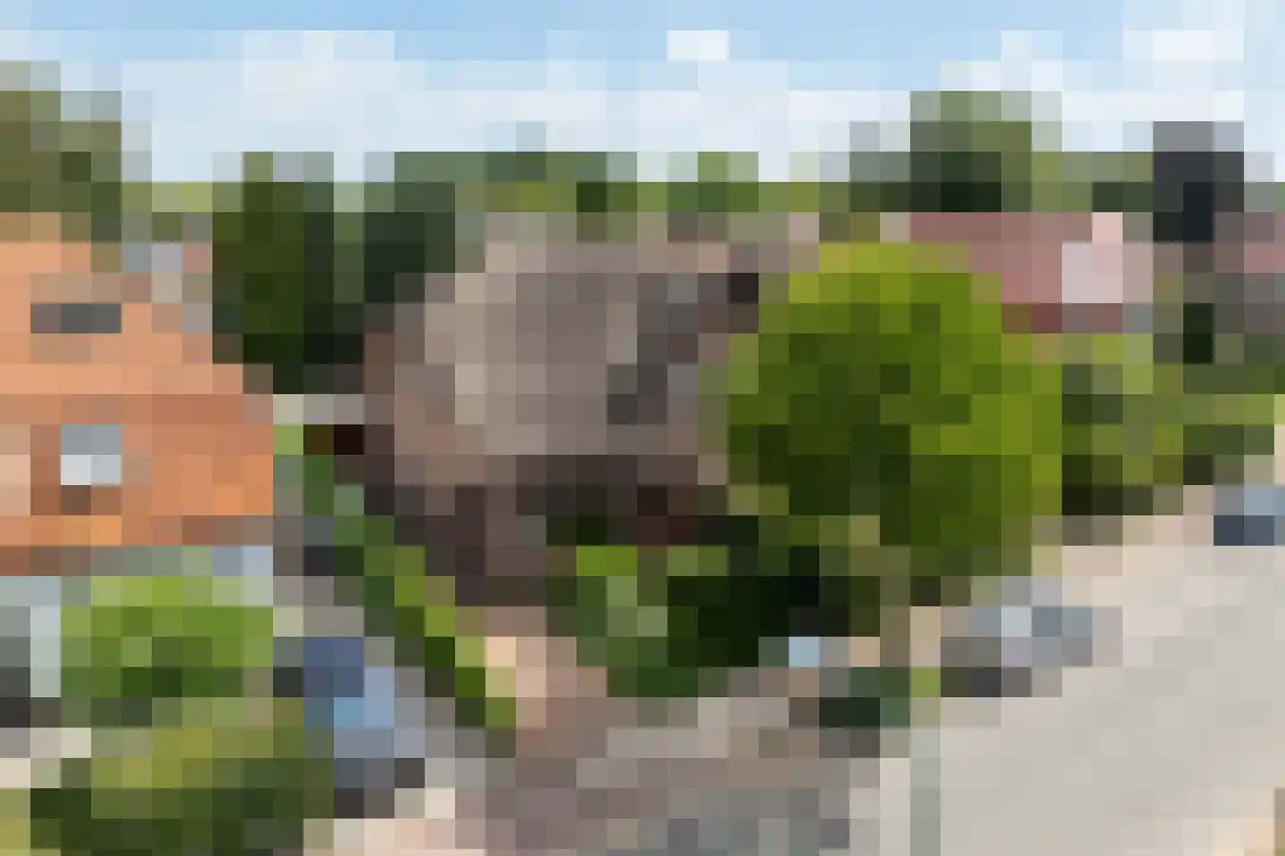 Nassaulaan 18 Soest thumbnail 32