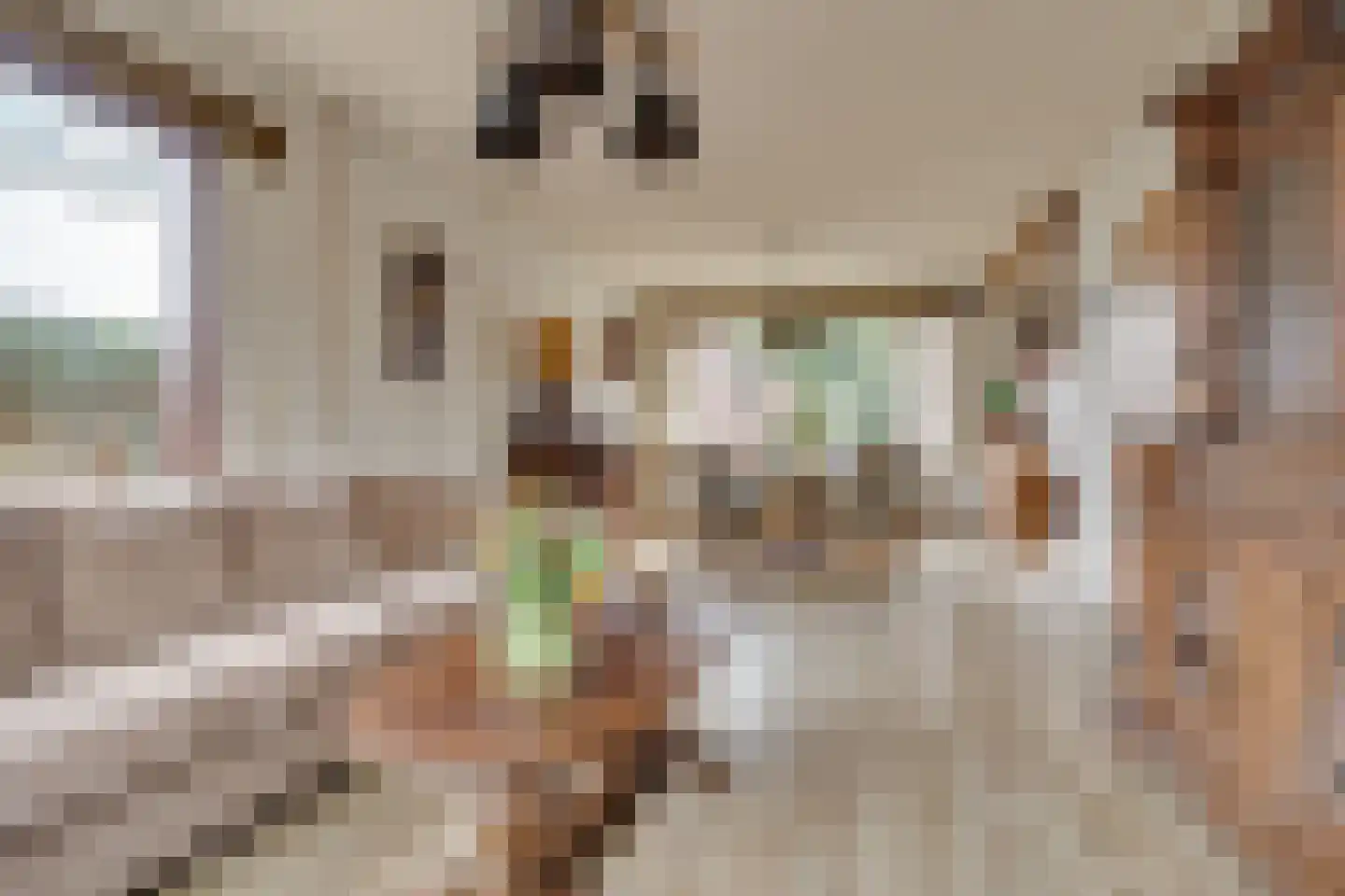 Nassaulaan 18 Soest thumbnail 9