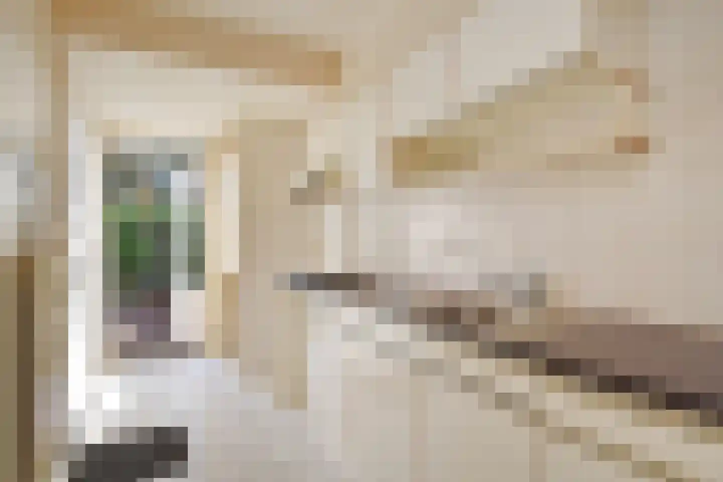 Nassaulaan 18 Zoetermeer thumbnail 13