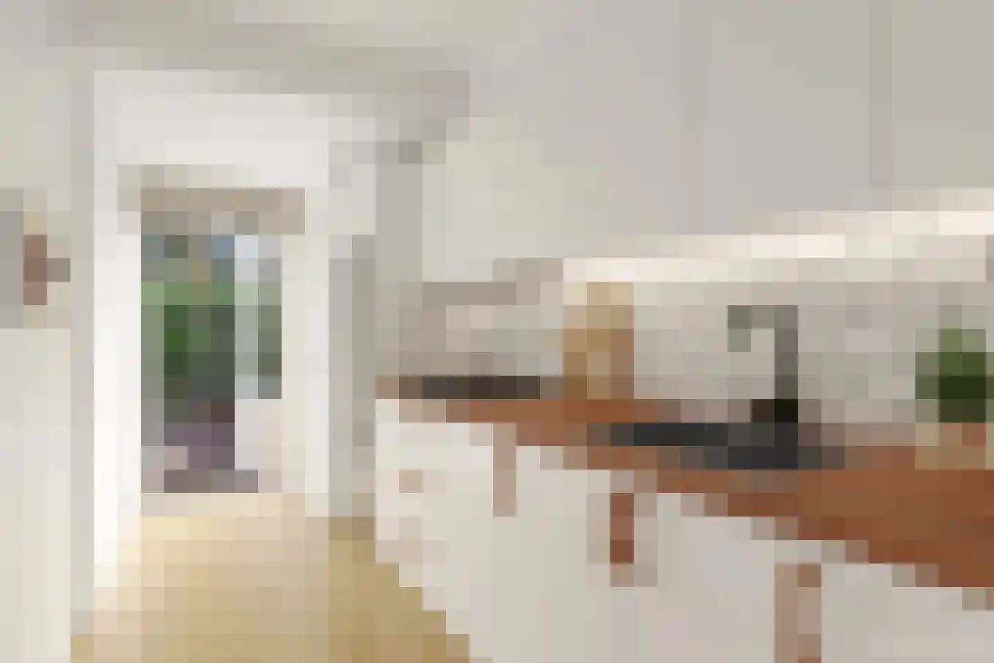 Nassaulaan 18 Zoetermeer thumbnail 14