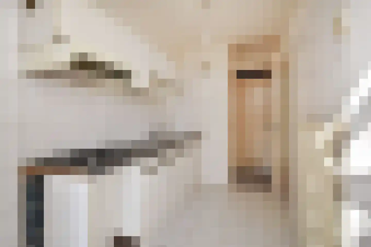 Nassaulaan 18 Zoetermeer thumbnail 17