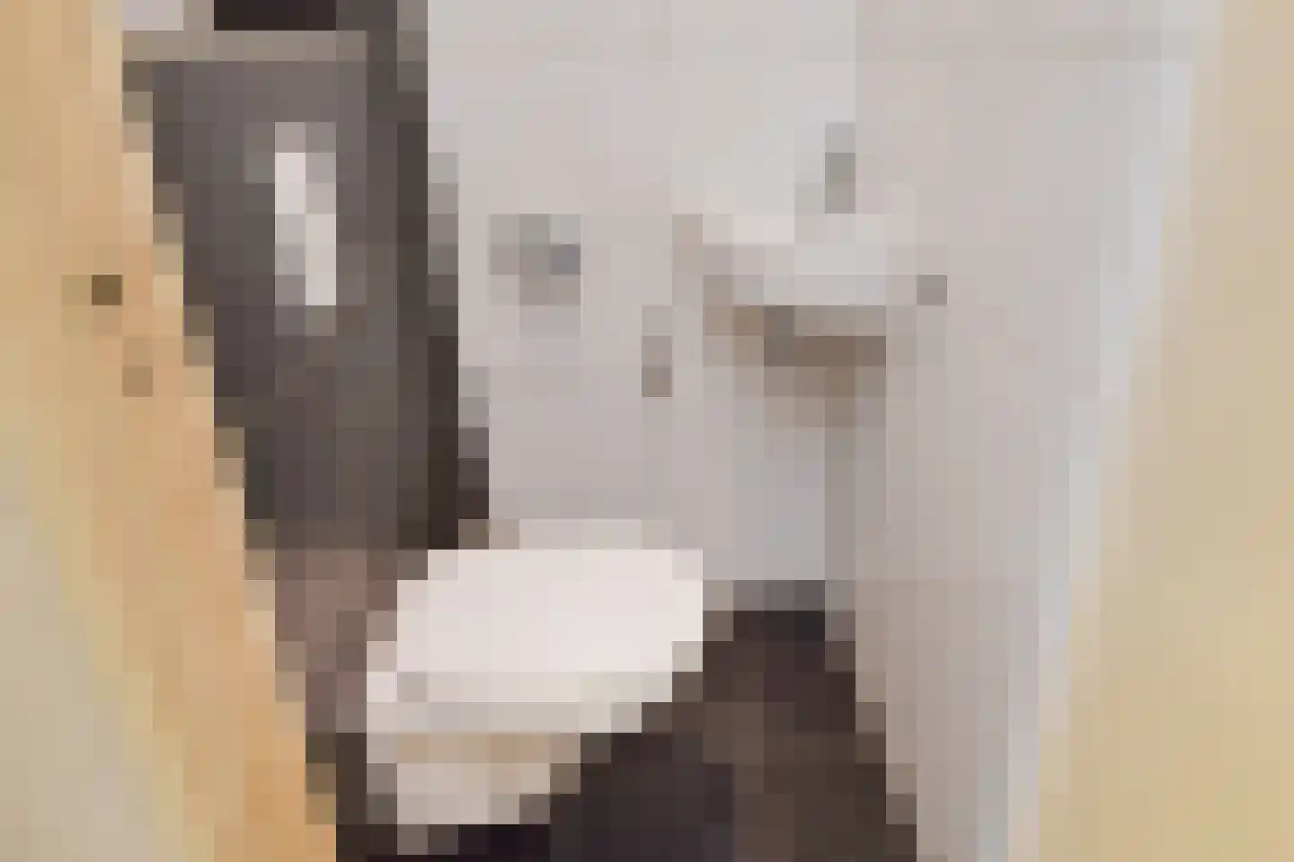 Nassaulaan 18 Zoetermeer thumbnail 22