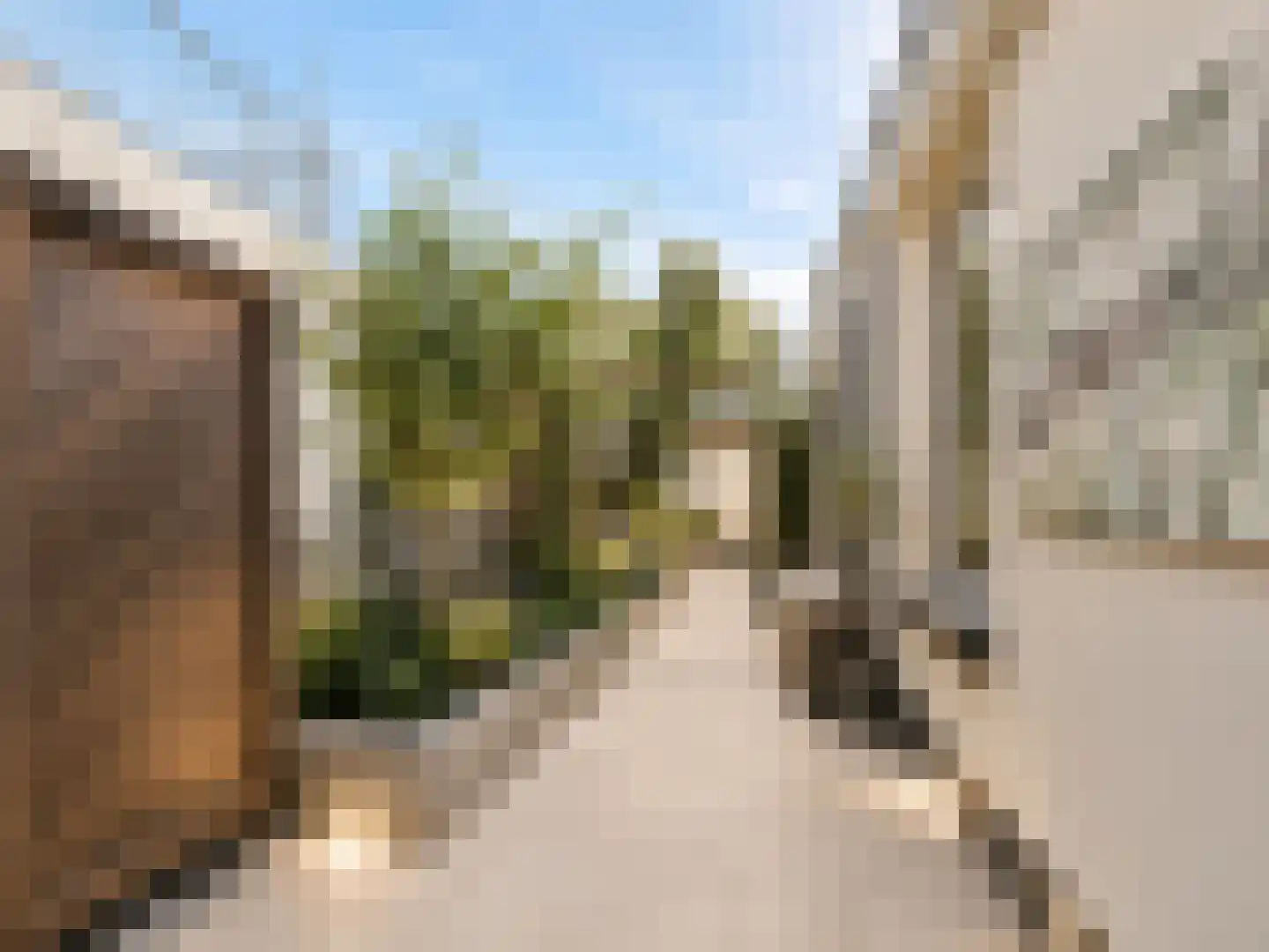Nassaulaan 19 B Schiedam thumbnail 5