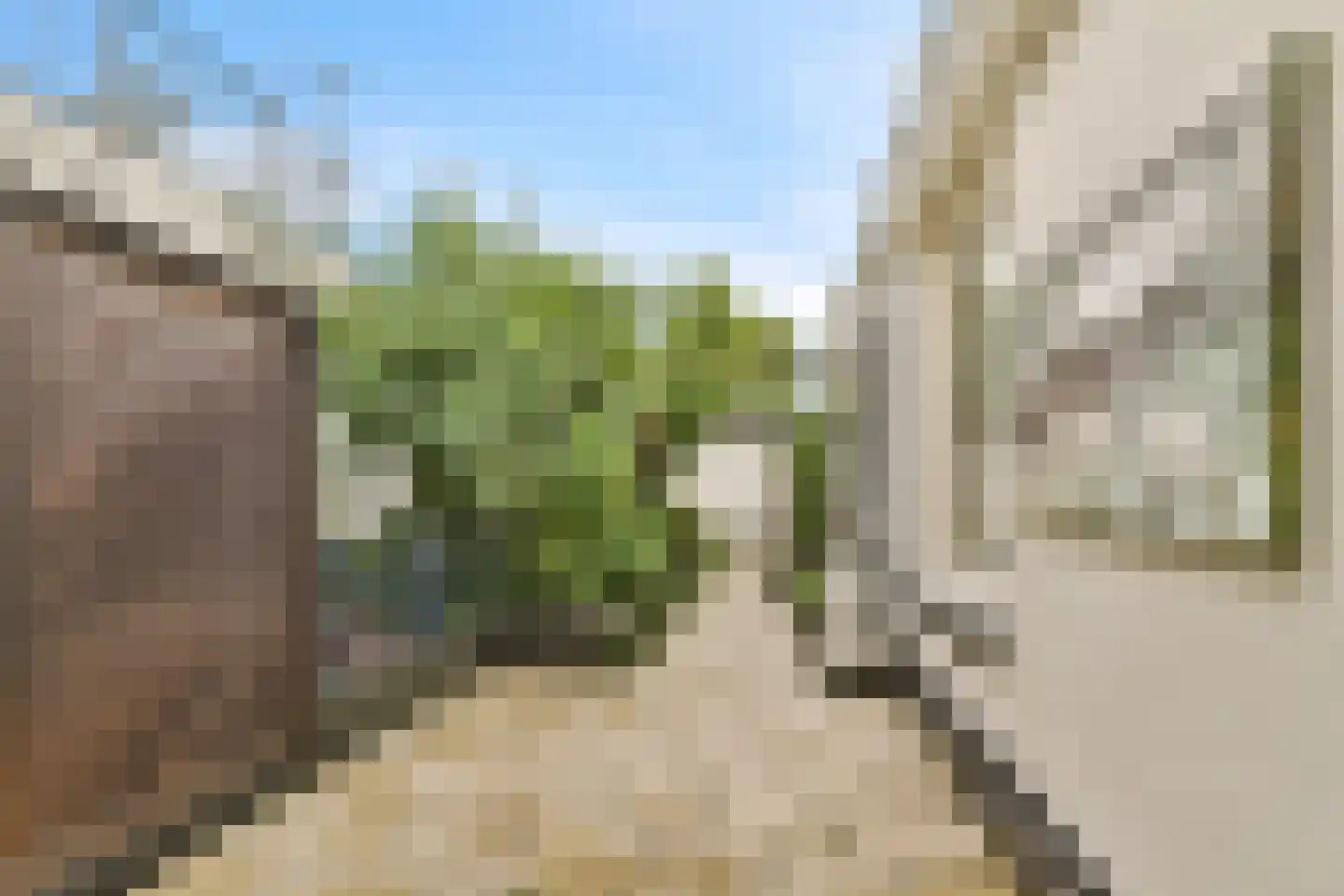 Nassaulaan 19 B Schiedam thumbnail 6