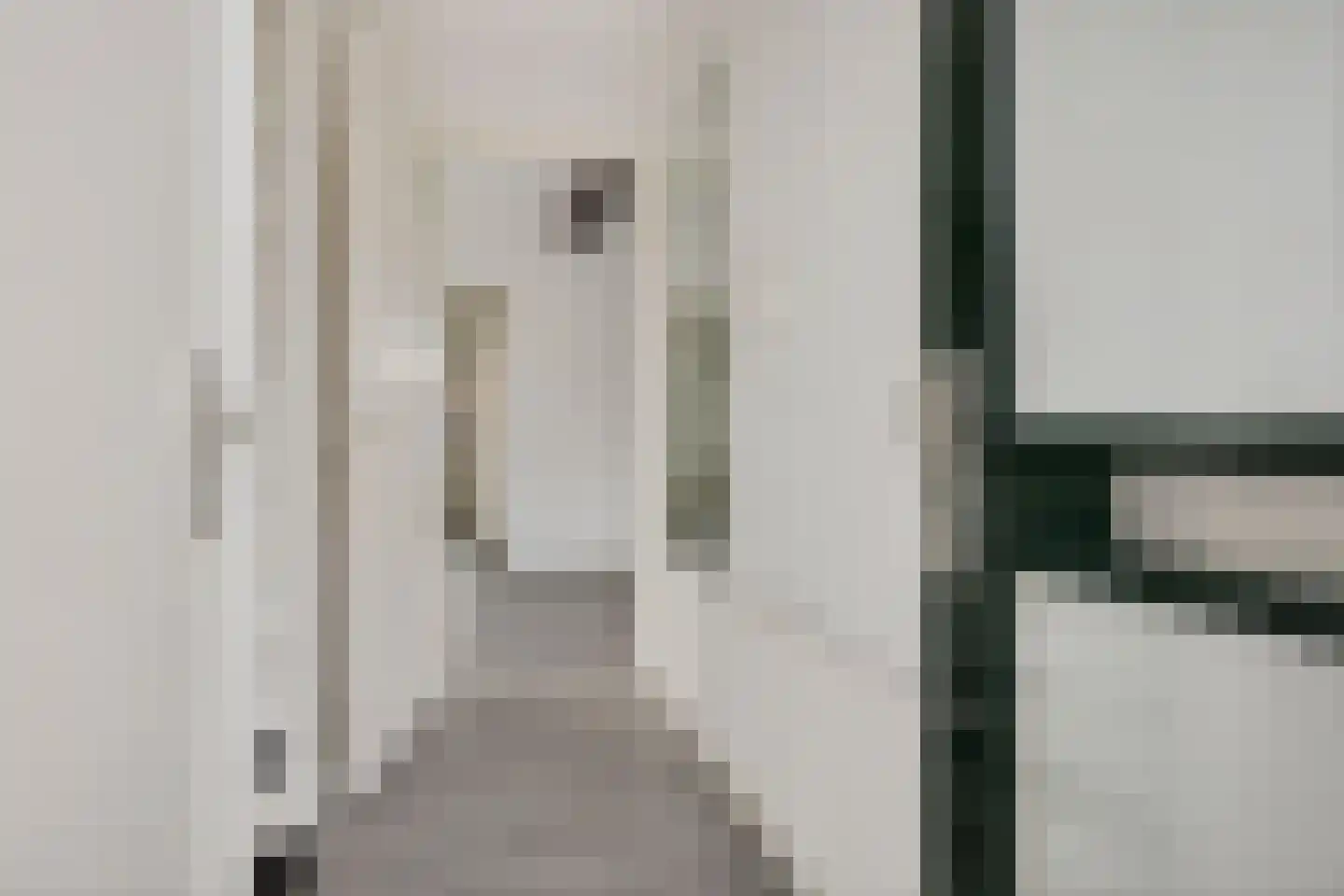 Nassaulaan 19 Heiligerlee thumbnail 23