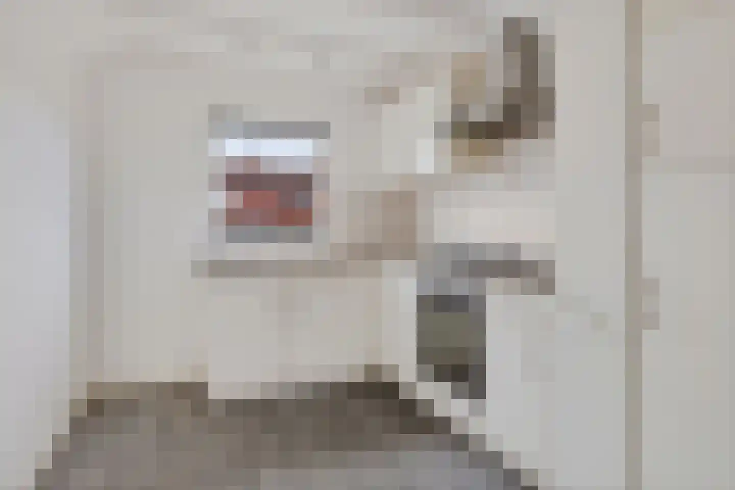 Nassaulaan 19 Heiligerlee thumbnail 30