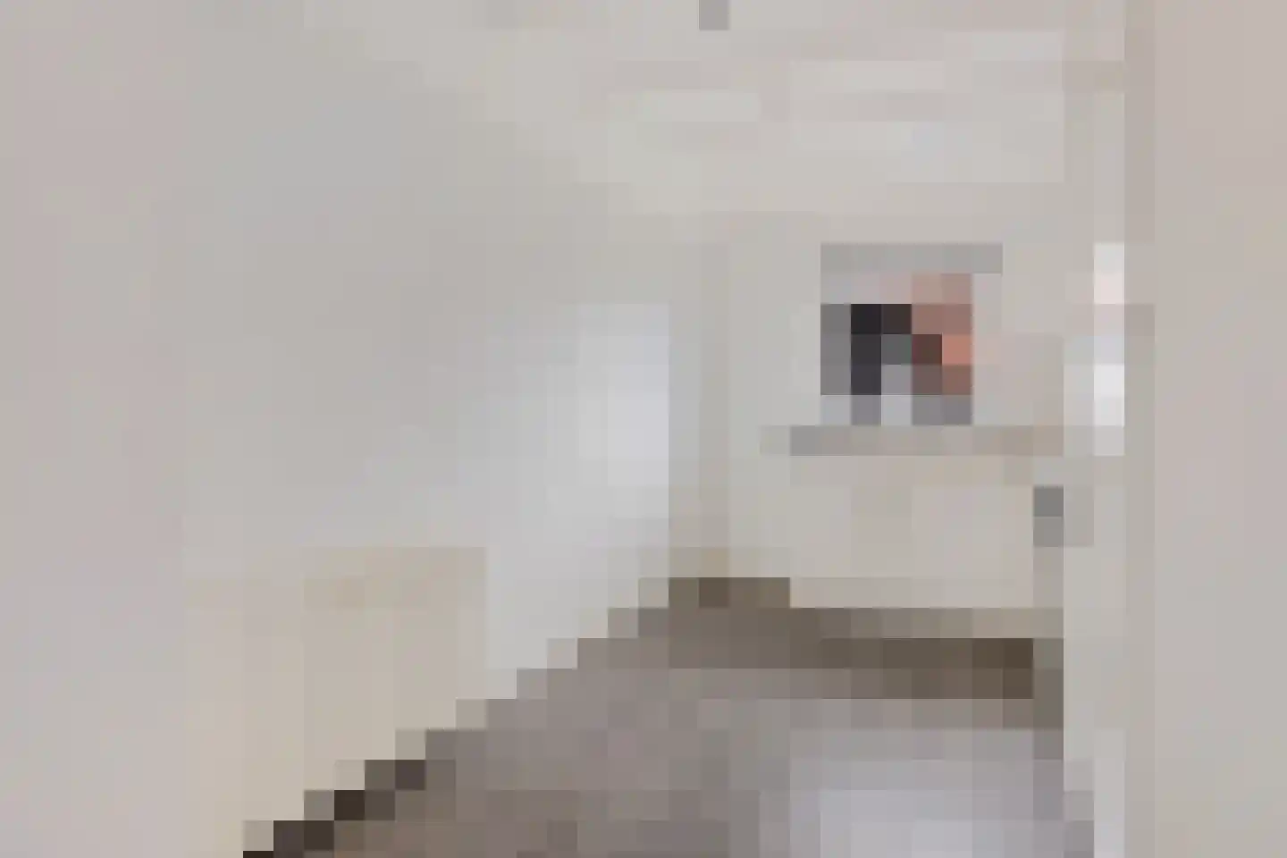 Nassaulaan 19 Heiligerlee thumbnail 31