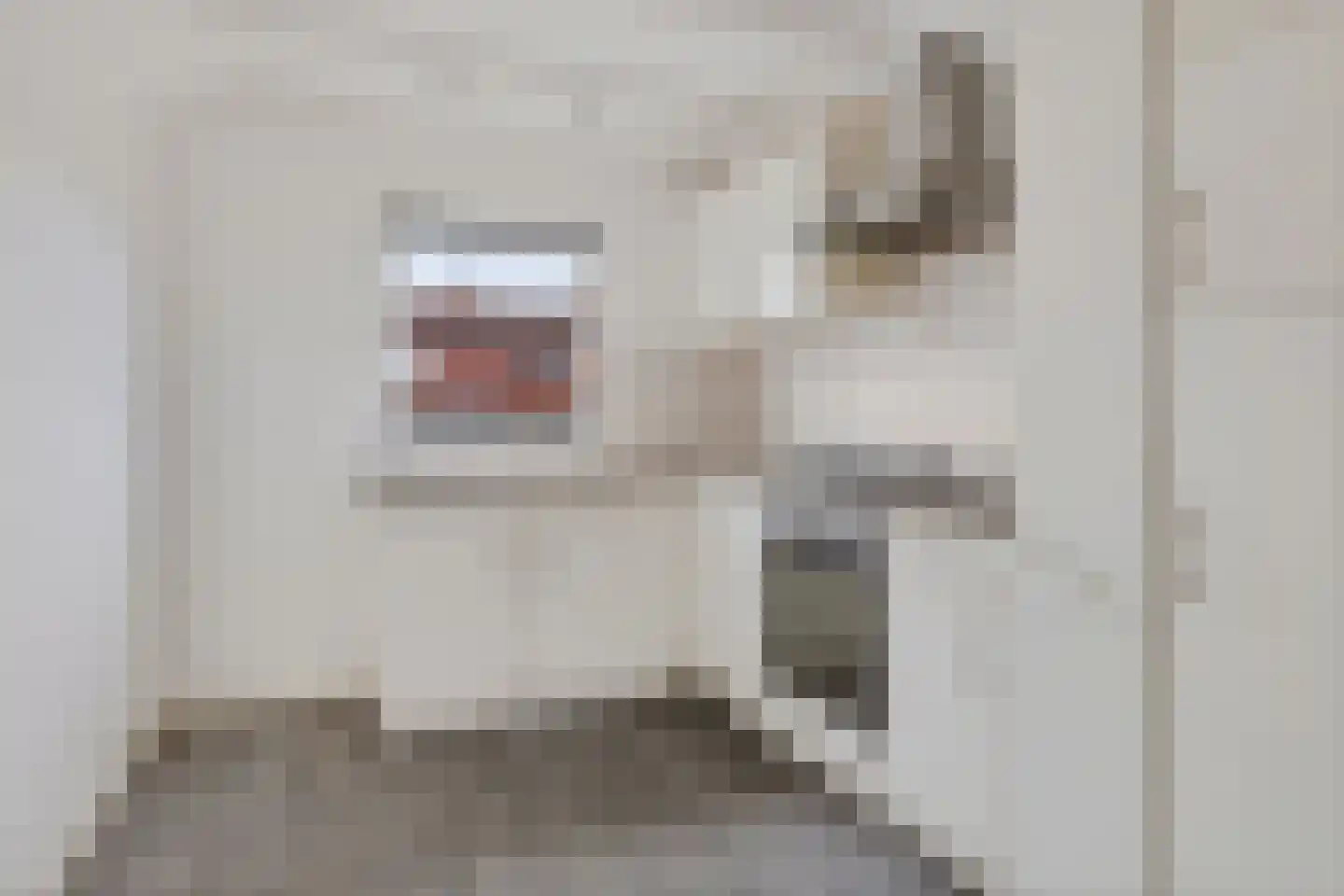 Nassaulaan 19 Heiligerlee thumbnail 4