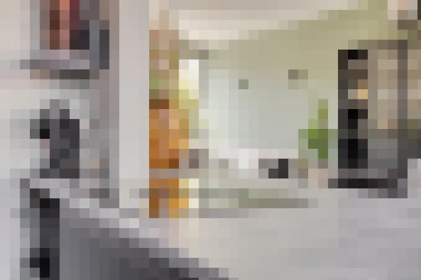 Nassaulaan 19 Vlijmen thumbnail 14