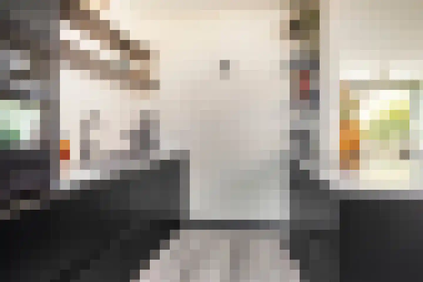 Nassaulaan 19 Vlijmen thumbnail 15