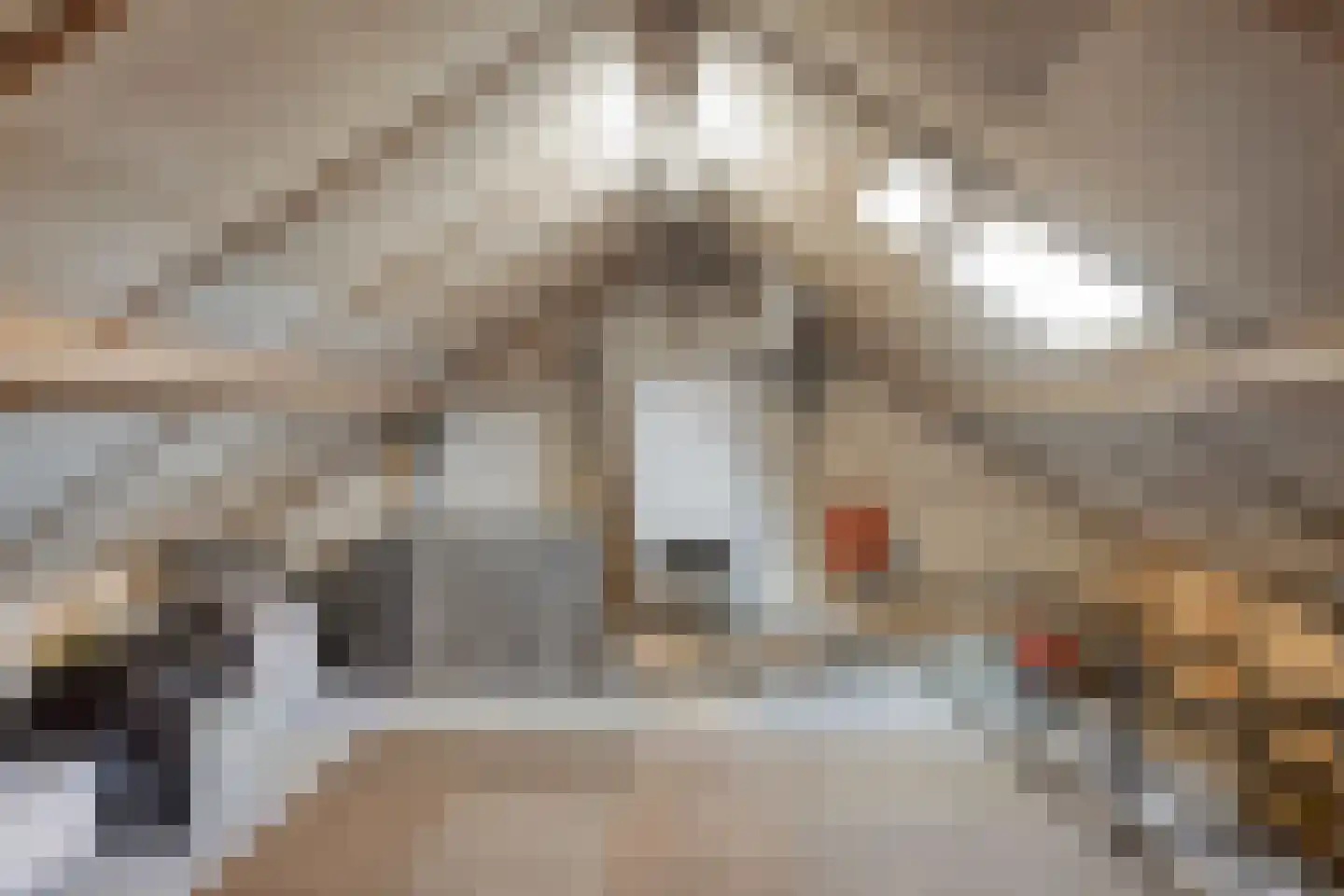 Nassaulaan 19 Vlijmen thumbnail 28