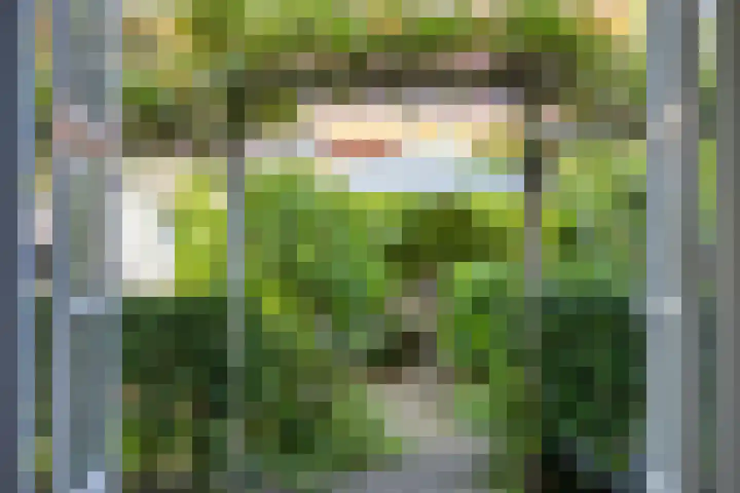 Nassaulaan 2 Oosterbeek thumbnail 10