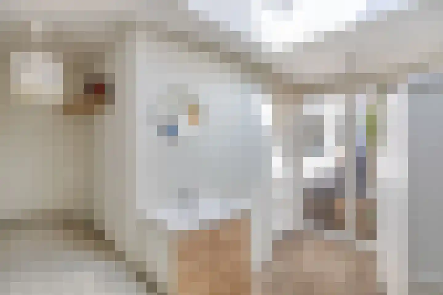 Nassaulaan 2 Oosterbeek thumbnail 16
