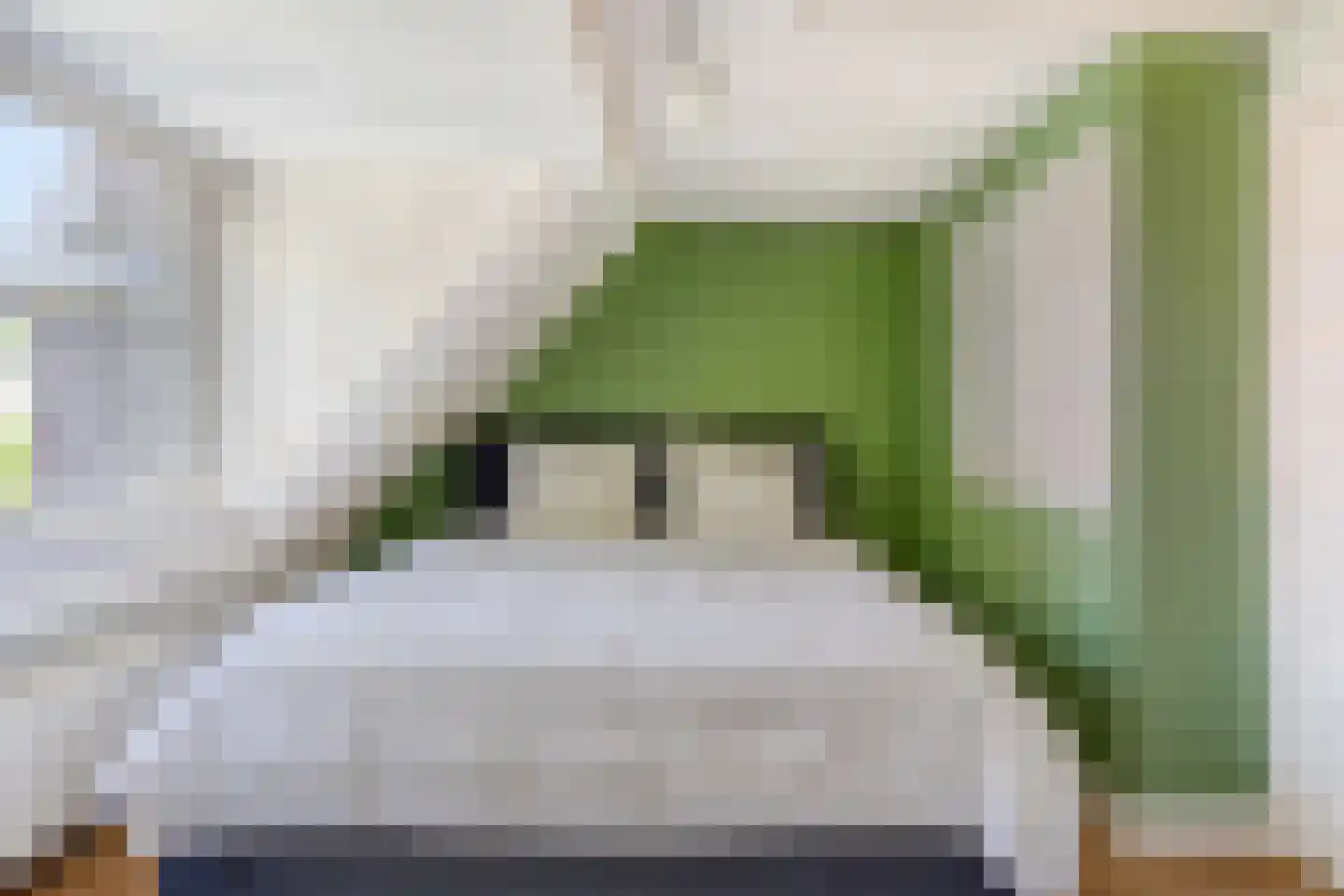 Nassaulaan 2 Oosterbeek thumbnail 23