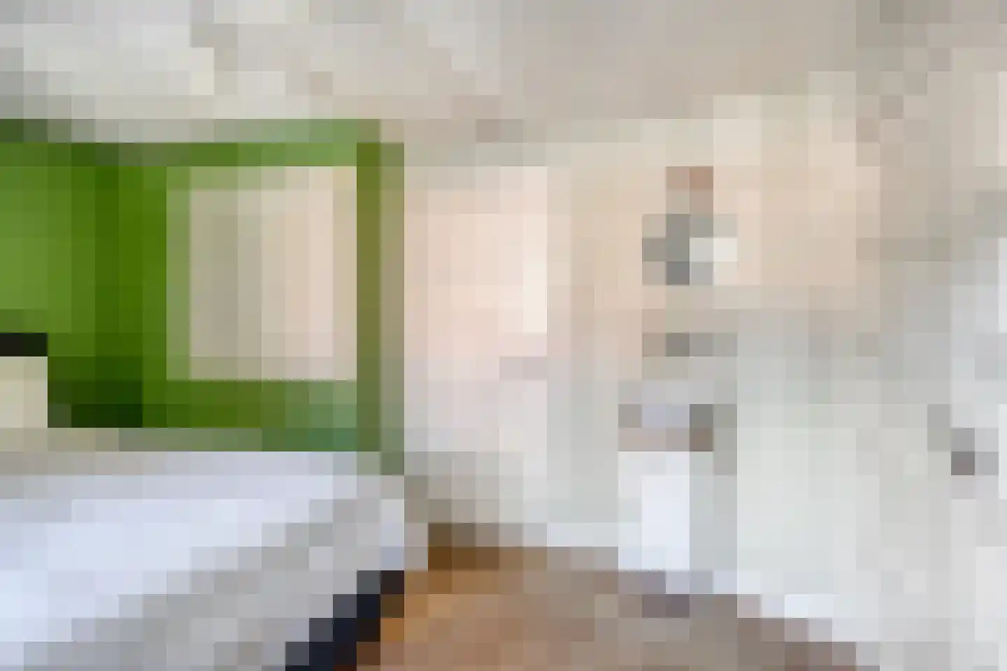 Nassaulaan 2 Oosterbeek thumbnail 24