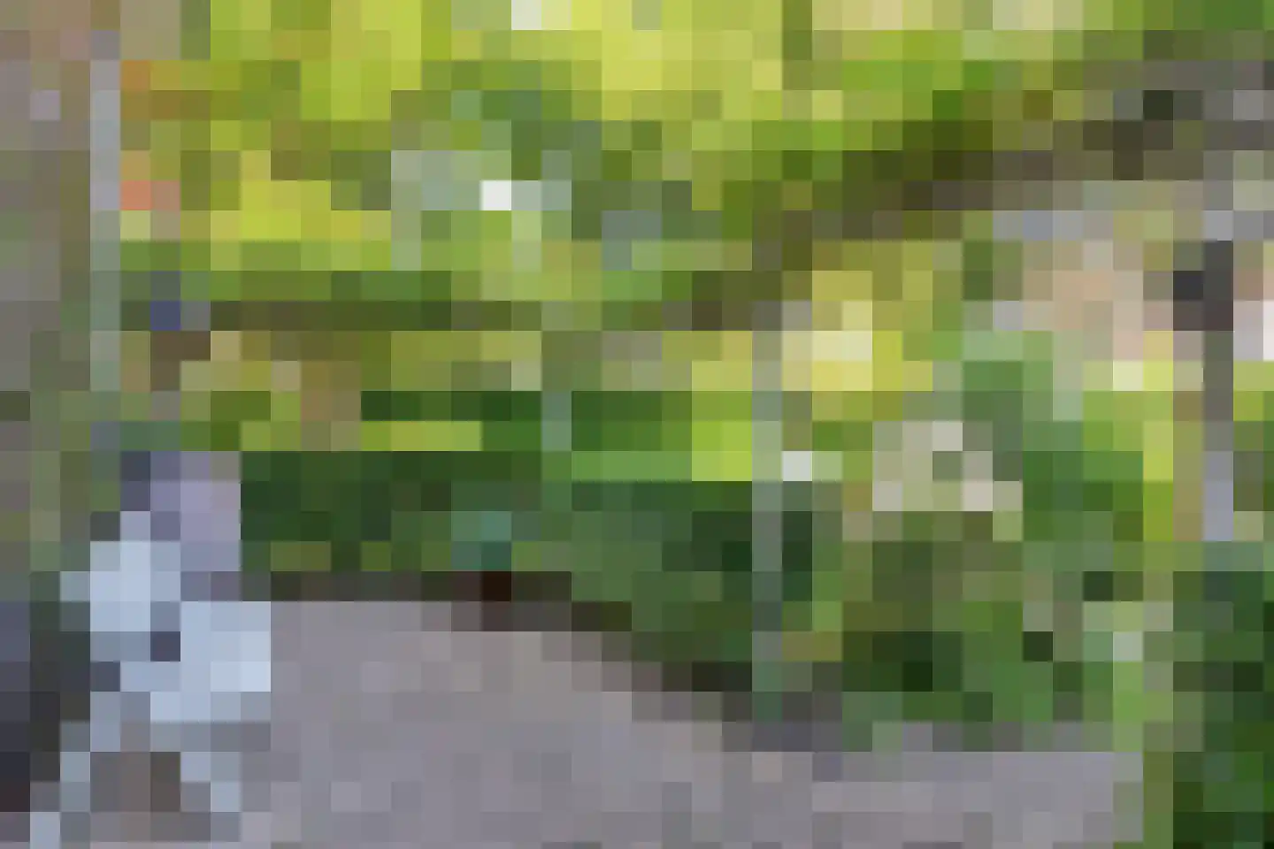 Nassaulaan 2 Oosterbeek thumbnail 33