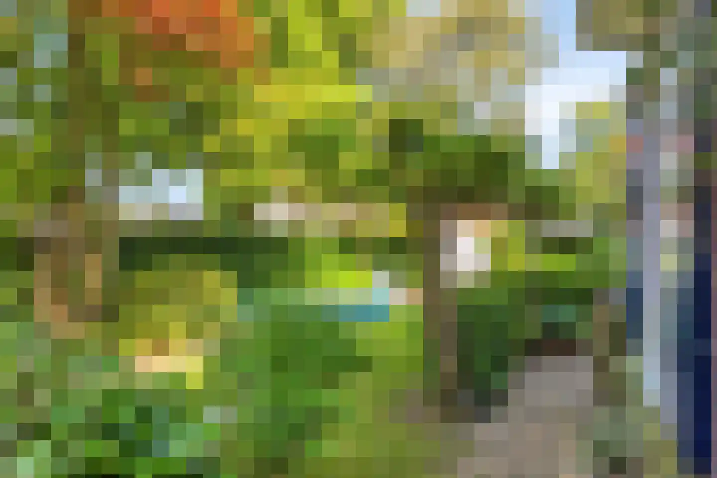 Nassaulaan 2 Oosterbeek thumbnail 34