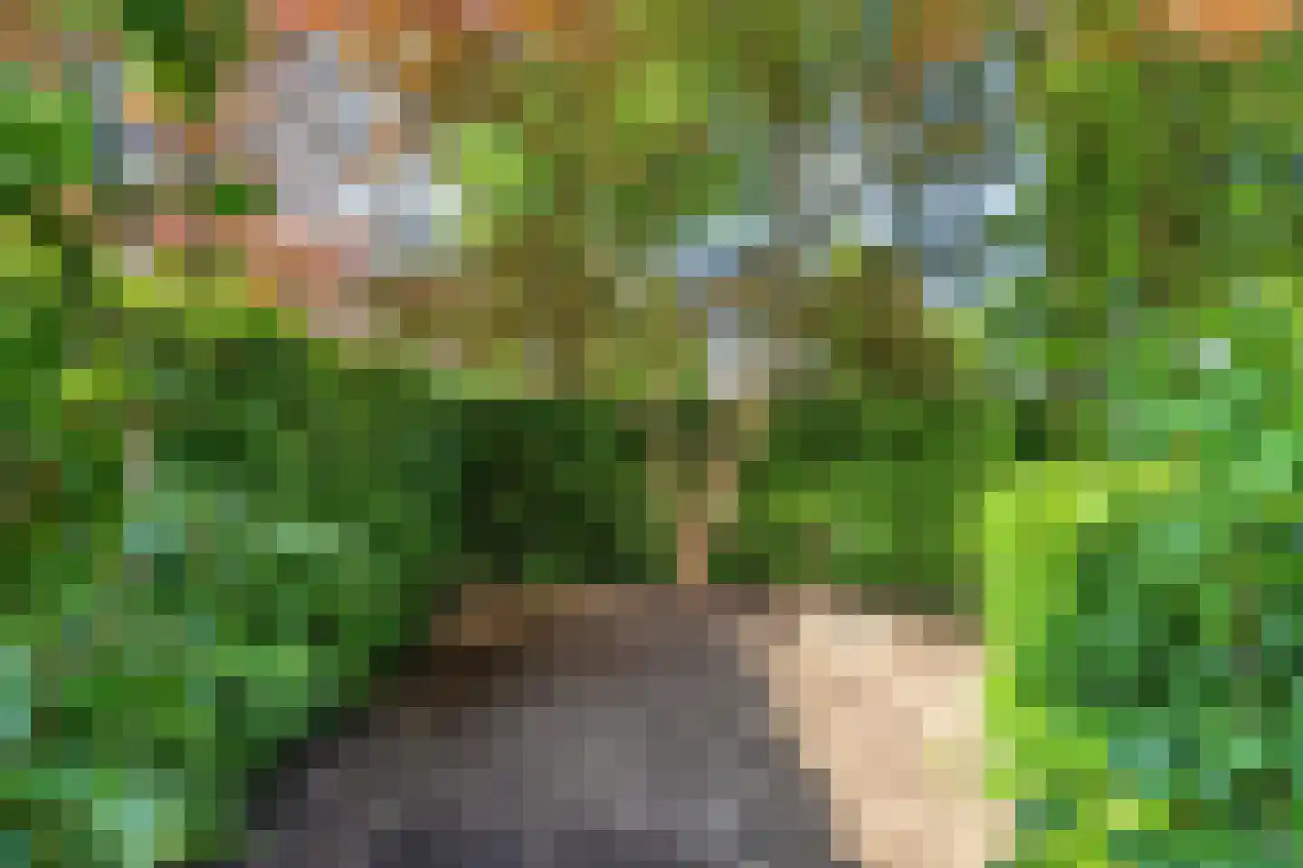 Nassaulaan 2 Oosterbeek thumbnail 36