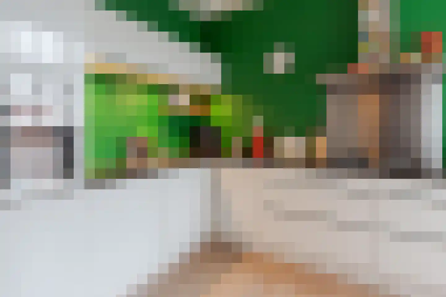 Nassaulaan 20 a Groningen thumbnail 21
