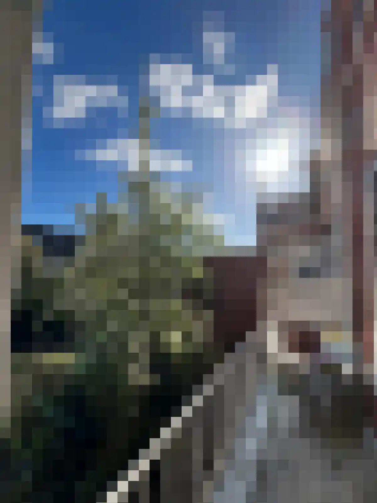 Nassaulaan 20 a Groningen thumbnail 38