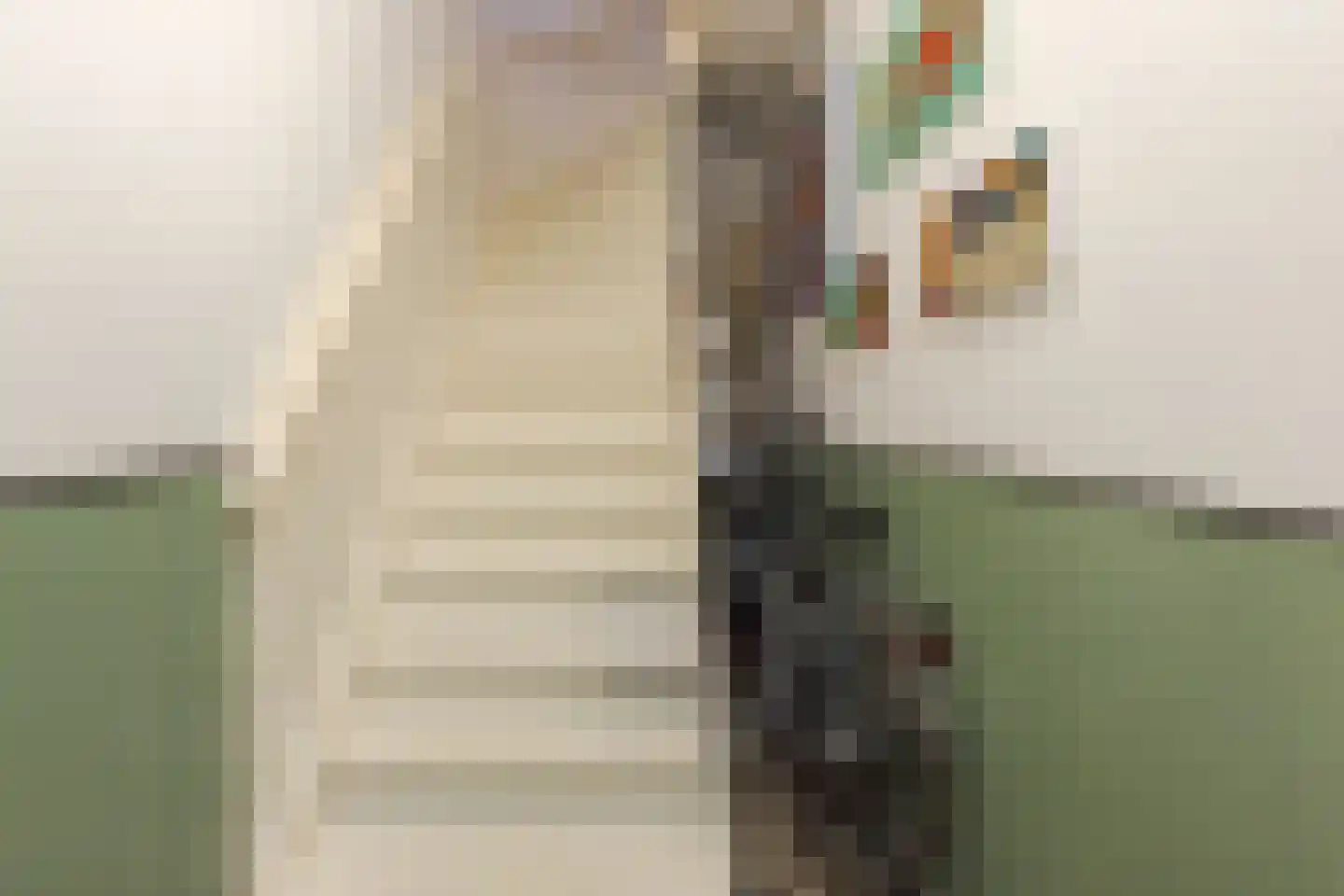 Nassaulaan 20 a Groningen thumbnail 7