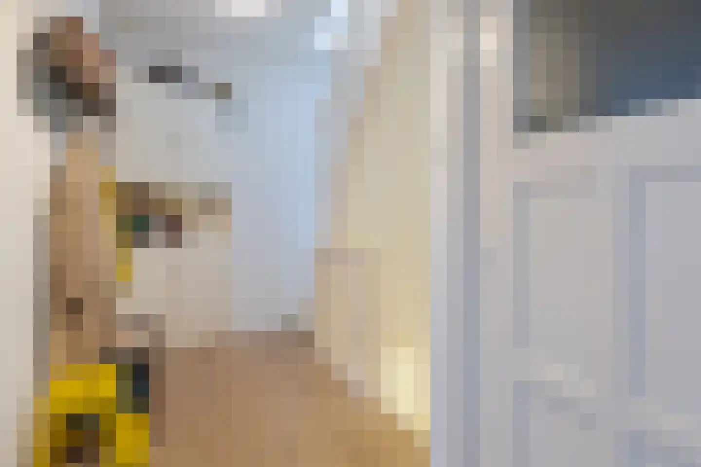Nassaulaan 20 a Groningen thumbnail 9