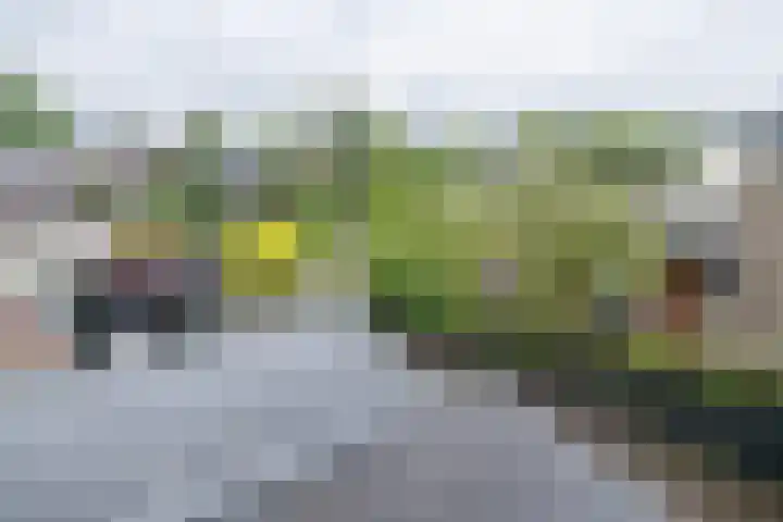 Nassaulaan 20 Driebergen-Rijsenburg thumbnail 25