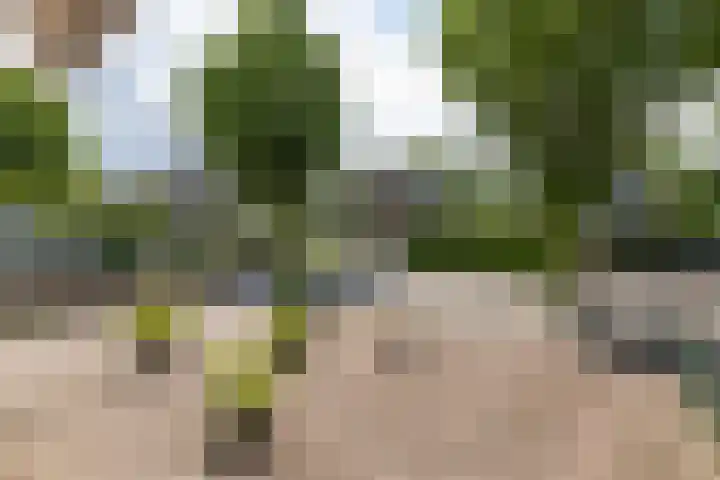 Nassaulaan 20 Driebergen-Rijsenburg thumbnail 36
