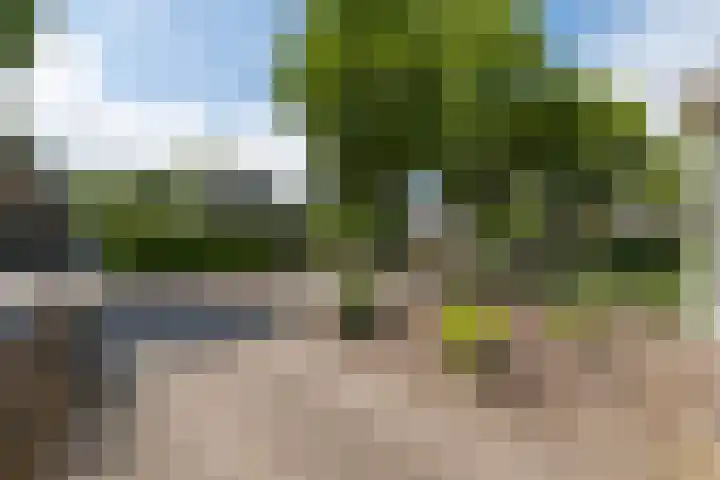 Nassaulaan 20 Driebergen-Rijsenburg thumbnail 38