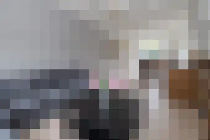 Nassaulaan 20 Driebergen-Rijsenburg thumbnail 4