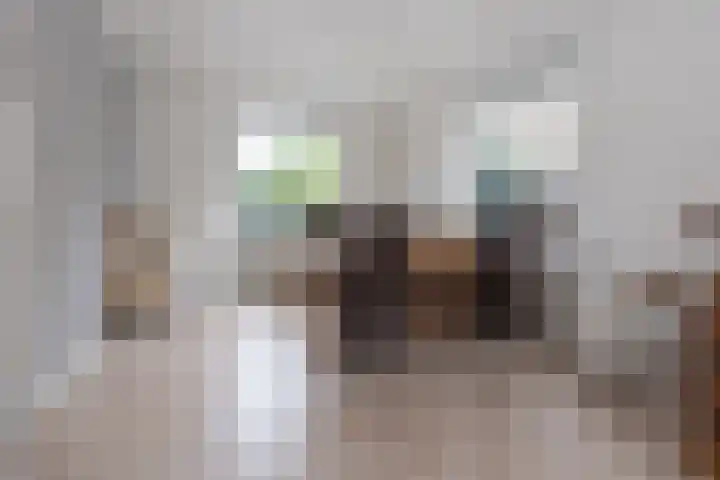 Nassaulaan 20 Driebergen-Rijsenburg thumbnail 6