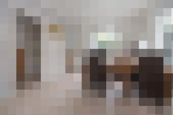 Nassaulaan 20 Driebergen-Rijsenburg thumbnail 7