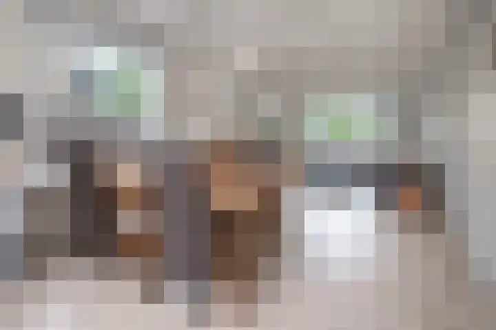 Nassaulaan 20 Driebergen-Rijsenburg thumbnail 8