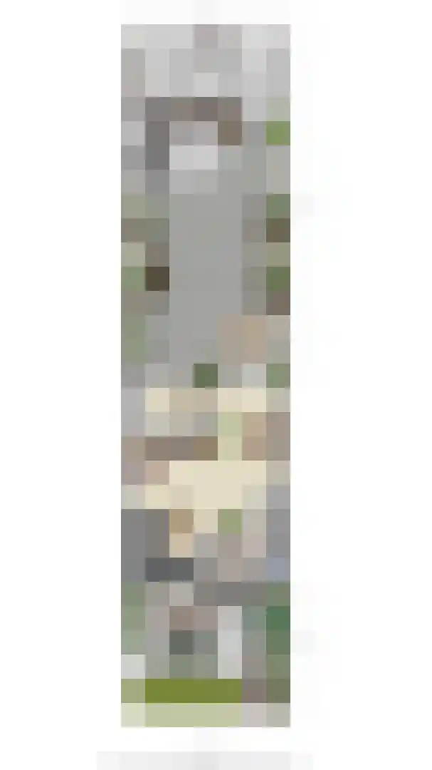 Nassaulaan 20 Kesteren thumbnail 100