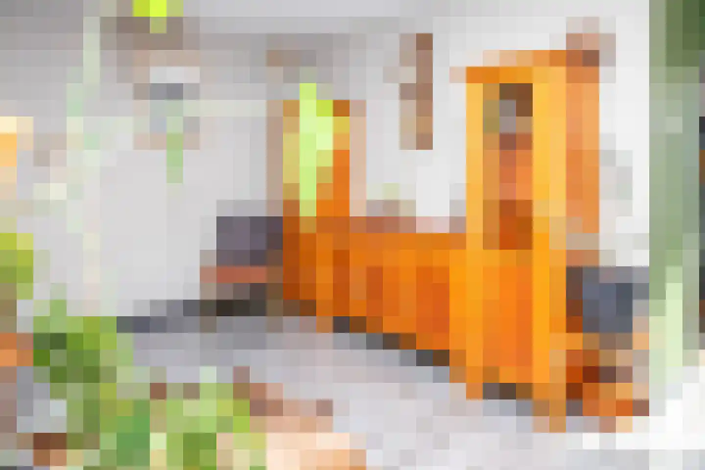 Nassaulaan 20 Kesteren thumbnail 12