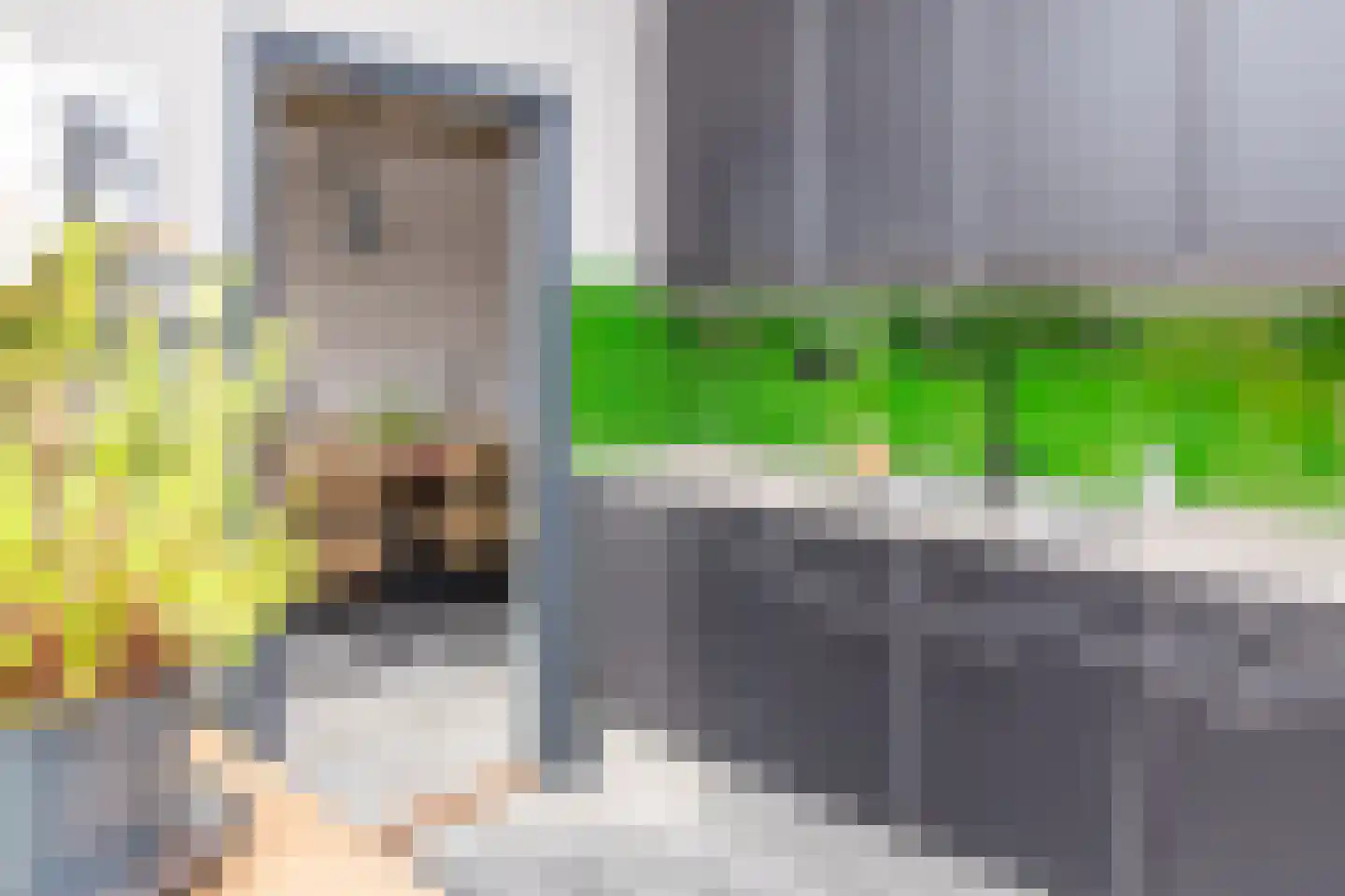 Nassaulaan 20 Kesteren thumbnail 18