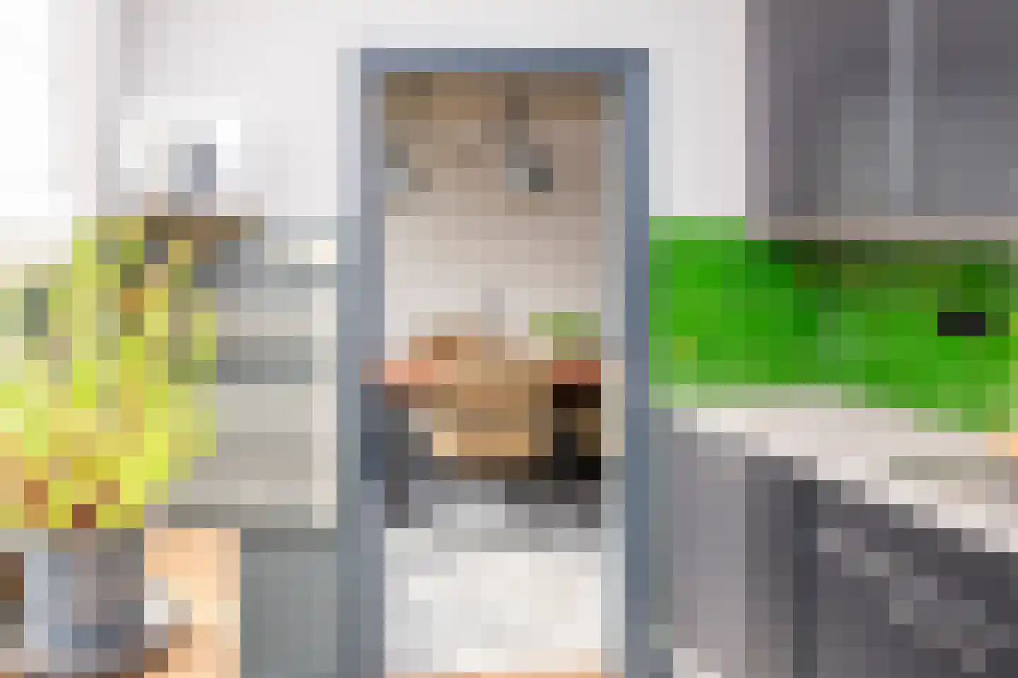 Nassaulaan 20 Kesteren thumbnail 19