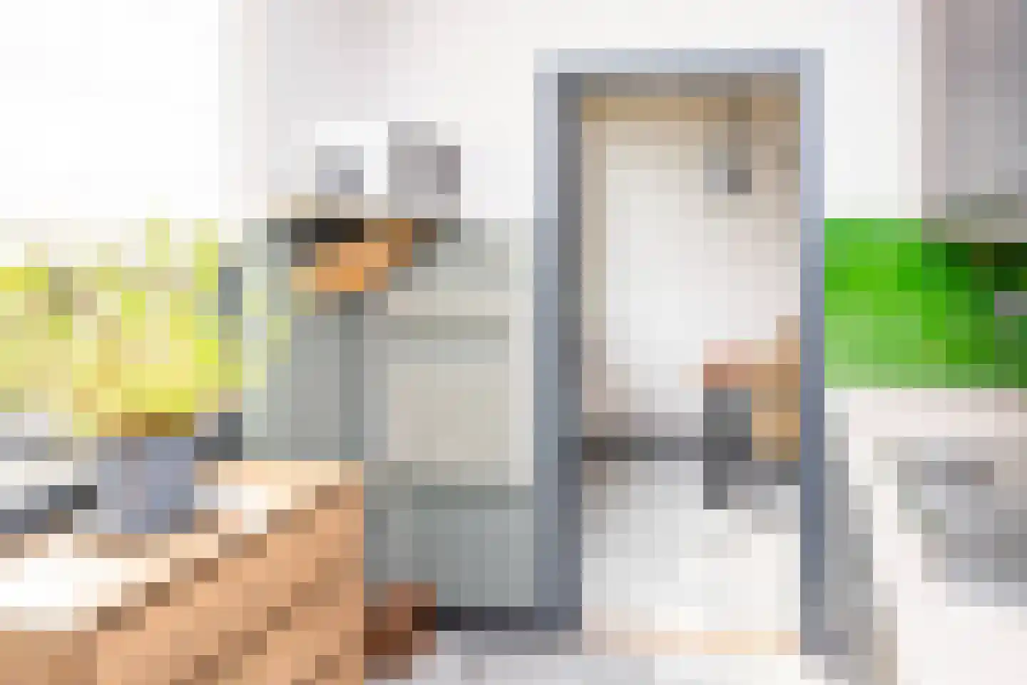 Nassaulaan 20 Kesteren thumbnail 20